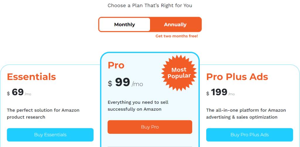 Viral Launch Pricing Plan